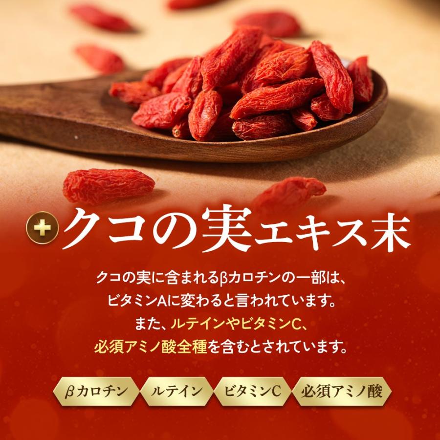 ブルーベリー （約3ヶ月分） サプリ ポリフェノール アントシアニン クコの実 カシス ビタミンB サプリメント ビルベリー βカロテン ポイント利用 | ogaland | 16