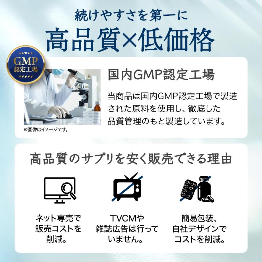 ブルーベリー （約3ヶ月分） サプリ ポリフェノール アントシアニン クコの実 カシス ビタミンB サプリメント ビルベリー βカロテン ポイント利用 | ogaland | 18