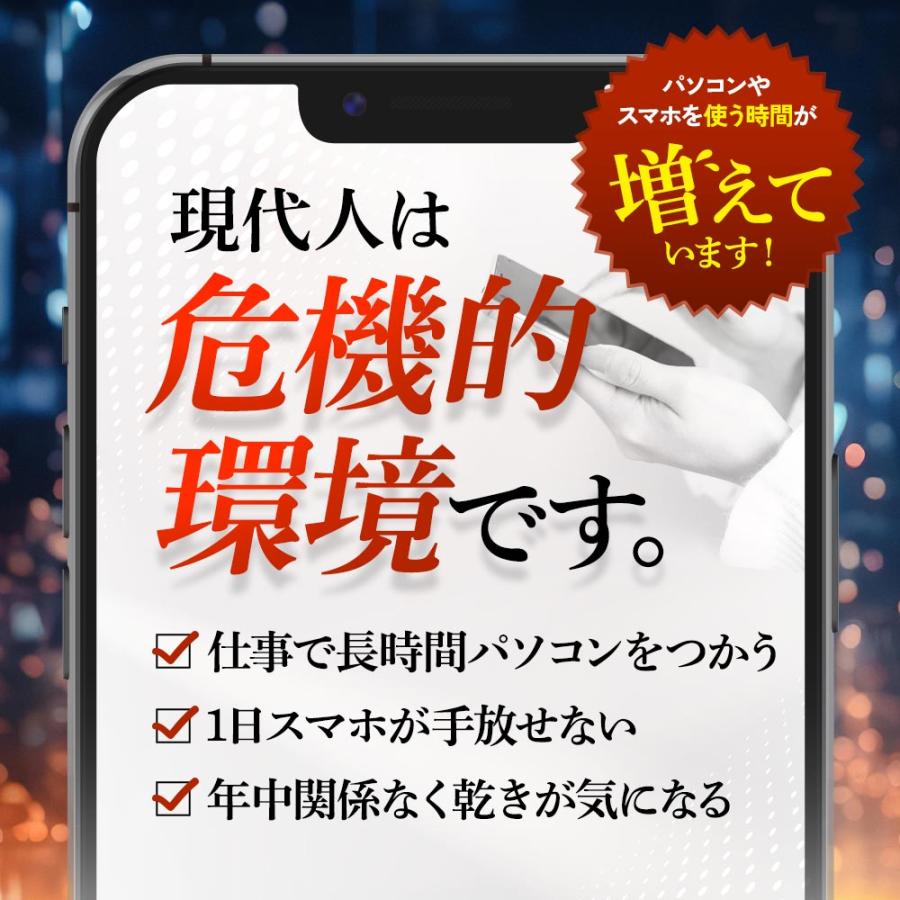 ブルーベリー （約3ヶ月分） サプリ ポリフェノール アントシアニン クコの実 カシス ビタミンB サプリメント ビルベリー βカロテン ポイント利用 | ogaland | 04