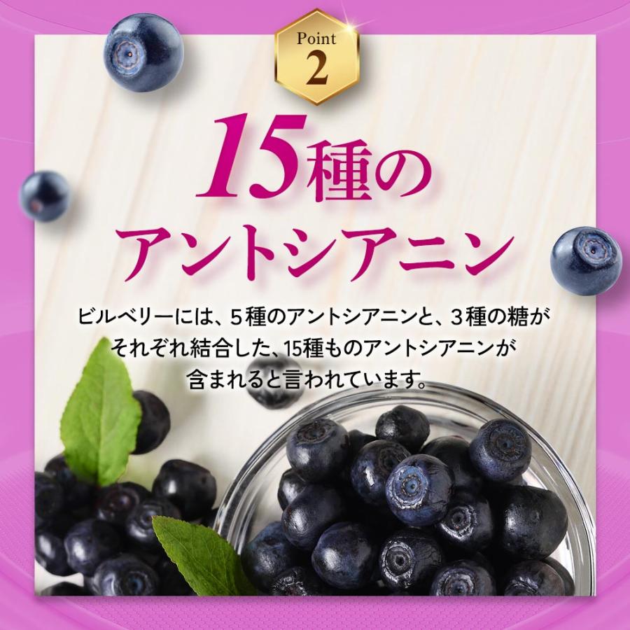 ブルーベリー （約3ヶ月分） サプリ ポリフェノール アントシアニン クコの実 カシス ビタミンB サプリメント ビルベリー βカロテン ポイント利用 | ogaland | 08