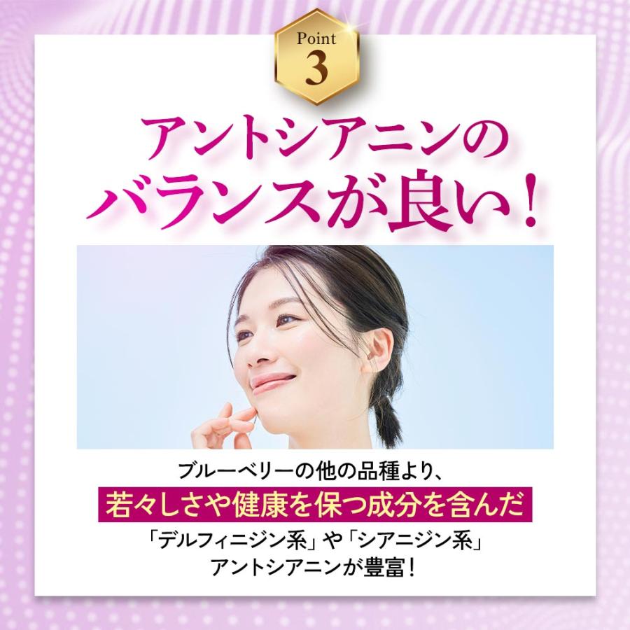 ブルーベリー （約3ヶ月分） サプリ ポリフェノール アントシアニン クコの実 カシス ビタミンB サプリメント ビルベリー βカロテン ポイント利用 | ogaland | 09