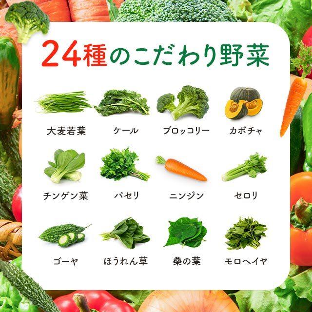 野菜 & フルーツMix30 （約3ヶ月分）  健康 美容 ダイエット サプリメント サプリ ミネラル ビタミン アセロラ トマト｜oga｜12