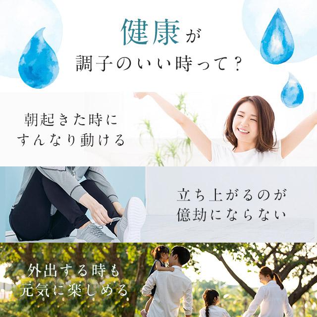 プロテオグリカン（約3ヶ月分） 1カプセル35000μg プラセンタ コラーゲン コンドロイチン サプリメント サプリ ヒアルロン酸 ポイント利用 | ogaland | 13