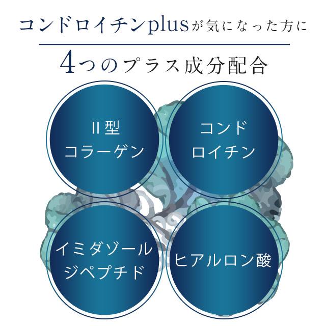 プロテオグリカン（約3ヶ月分） 1カプセル35000μg プラセンタ コラーゲン コンドロイチン サプリメント サプリ ヒアルロン酸 ポイント利用 | ogaland | 17