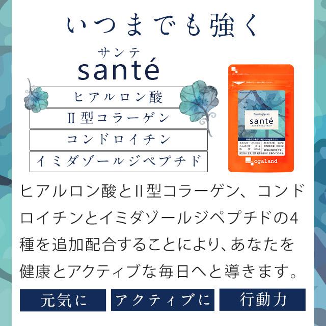 プロテオグリカン（約3ヶ月分） 1カプセル35000μg プラセンタ コラーゲン コンドロイチン サプリメント サプリ ヒアルロン酸 ポイント利用 | ogaland | 07