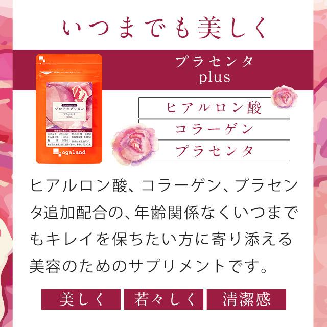 プロテオグリカン（約6ヶ月分） 1カプセル35000μg サプリメント プラセンタ ヒアルロン酸 サプリ コラーゲン ポイント利用 | ogaland | 05