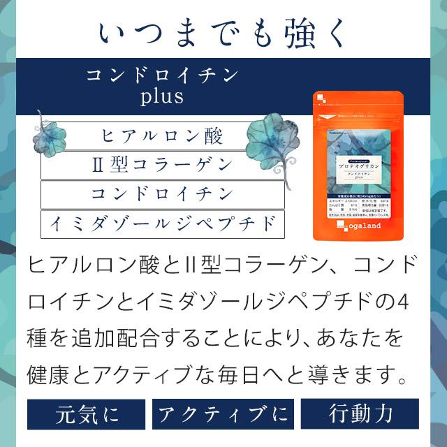 プロテオグリカン（約6ヶ月分） 1カプセル35000μg サプリメント プラセンタ ヒアルロン酸 サプリ コラーゲン ポイント利用 | ogaland | 06