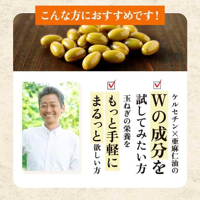 ogaland（オーガランド） ケルセチン （約3ヶ月分） 国産 たまねぎ