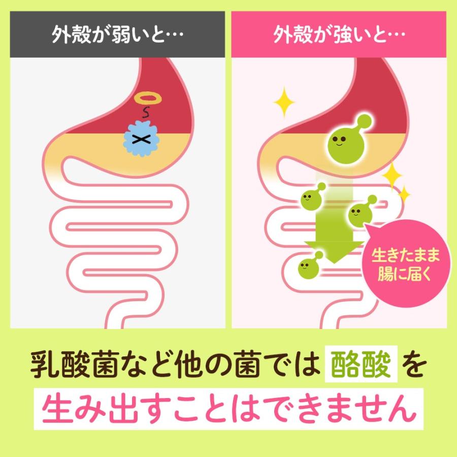 ogaland（オーガランド） 酪酸菌（約1ヶ月分）テレビで話題 サプリ 短