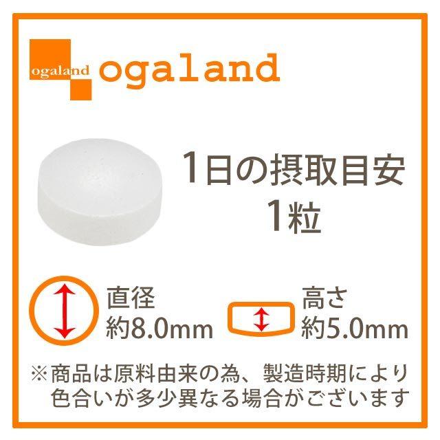 ogaland（オーガランド） 酪酸菌 （約1ヶ月分） サプリ サプリメント