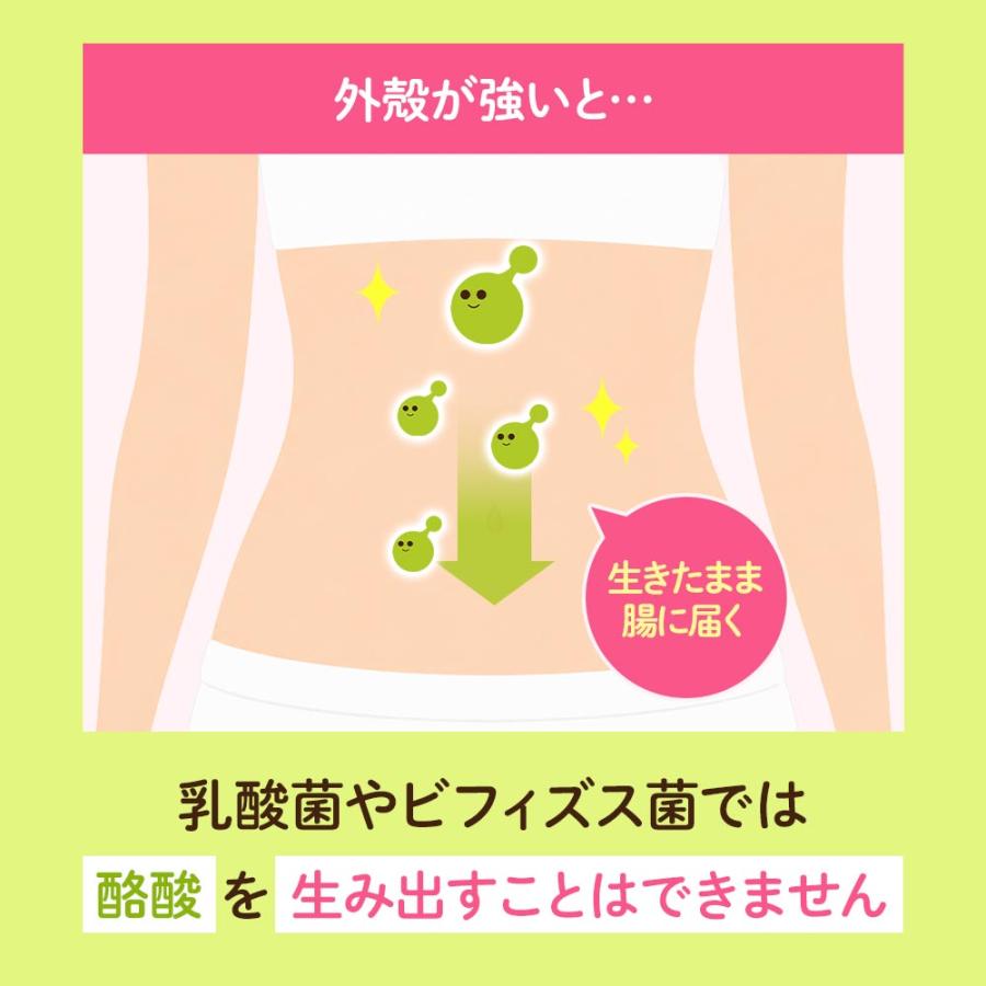 ogaland（オーガランド） 酪酸菌（約3ヶ月分）ダイエット サプリ