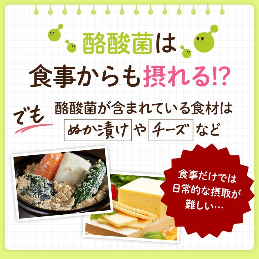 ogaland（オーガランド） 酪酸菌（約3ヶ月分）ダイエット サプリ