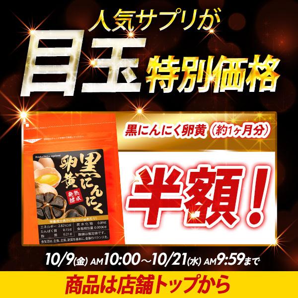 ogaland（オーガランド） 酪酸菌（約3ヶ月分）ダイエット サプリ