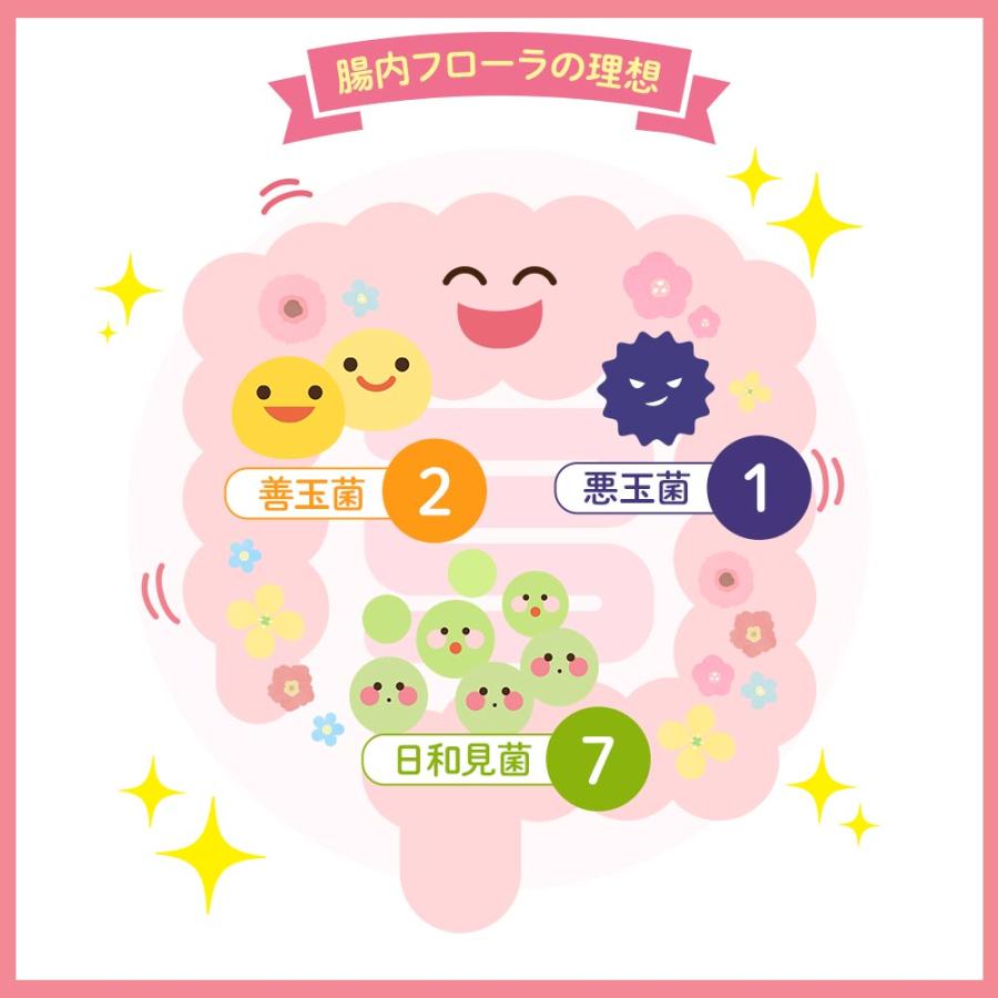 ogaland 酪酸菌 (約3ヶ月分) ダイエット サプリ サプリメント ogaland 酪酸菌 (約3ヶ月分) ダイエット サプリ サプリメント