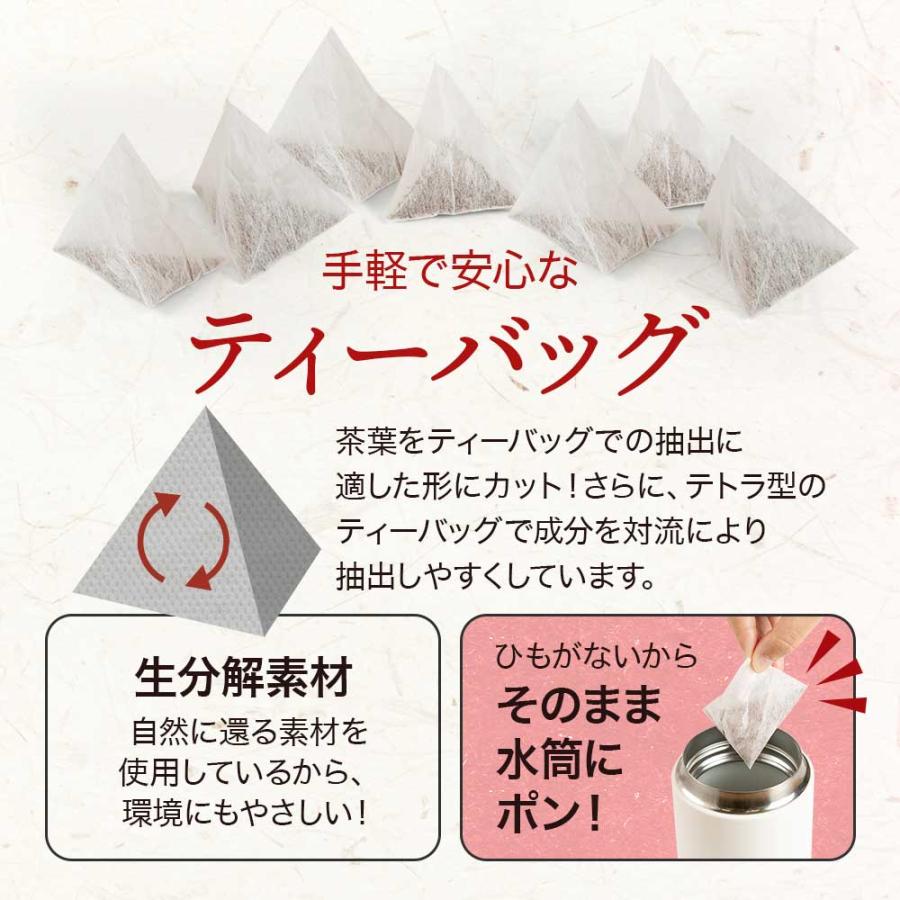 ogaland（オーガランド） ルイボスティー ティーバッグ 80包 美容 健康