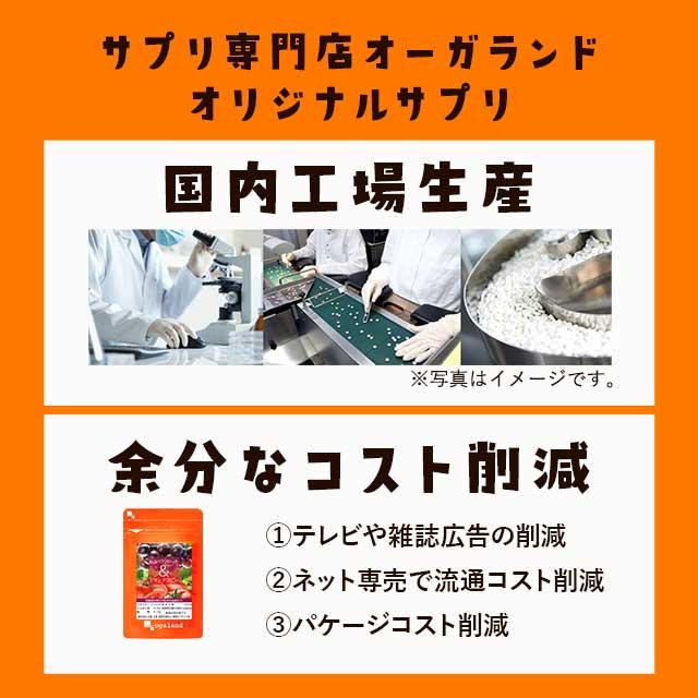 レスベラトロール ＆ トマトリコピン （約3ヶ月分） 賞味期限最短2025年3月末まで リコピン サプリ ポリフェノール サプリメント 健康 ダイエット 美容 カテキン｜oga｜15