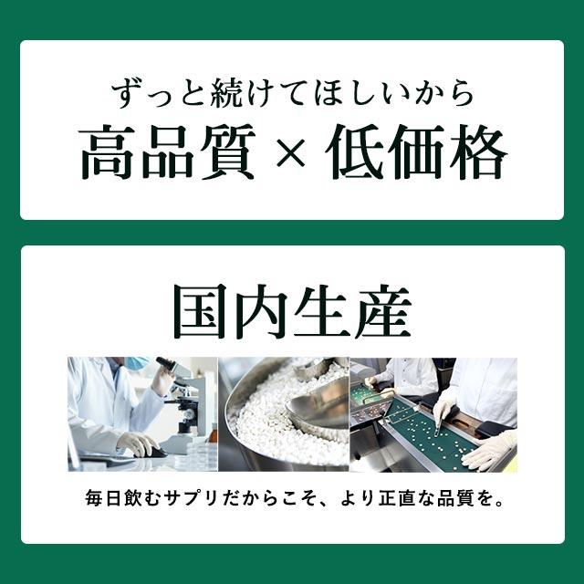 リフレッシュサプリ GABA + Ca （約3ヶ月分） ギャバ サプリメント カルシウム サプリ ミント タブレット 美味しいチュアブル ポイント利用 | ogaland | 13