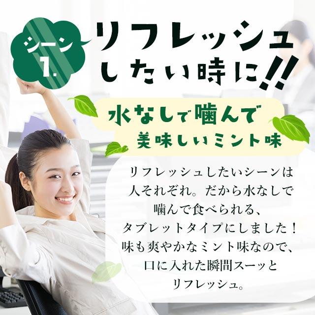 リフレッシュサプリ GABA + Ca （約3ヶ月分） ギャバ サプリメント カルシウム サプリ ミント タブレット 美味しいチュアブル ポイント利用 | ogaland | 07