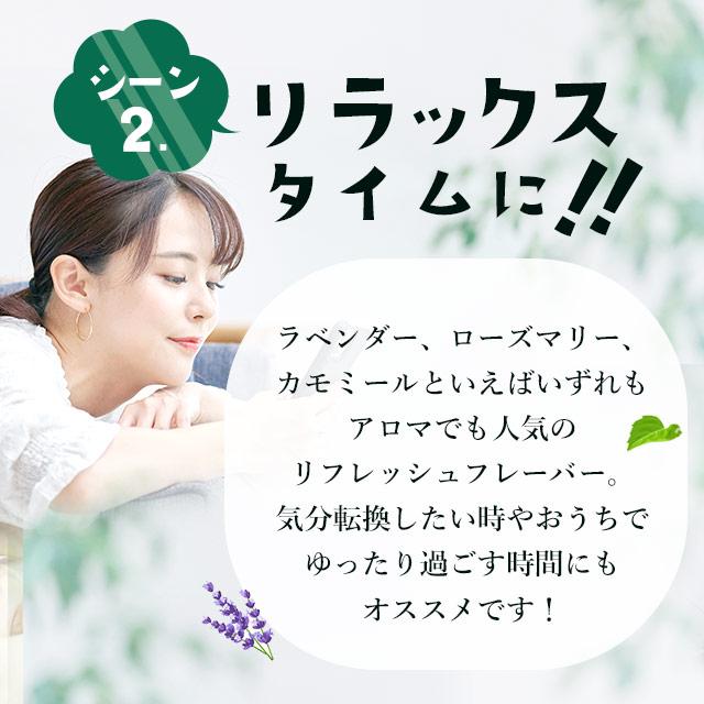 リフレッシュサプリ GABA + Ca （約3ヶ月分） ギャバ サプリメント カルシウム サプリ ミント タブレット 美味しいチュアブル ポイント利用 | ogaland | 08