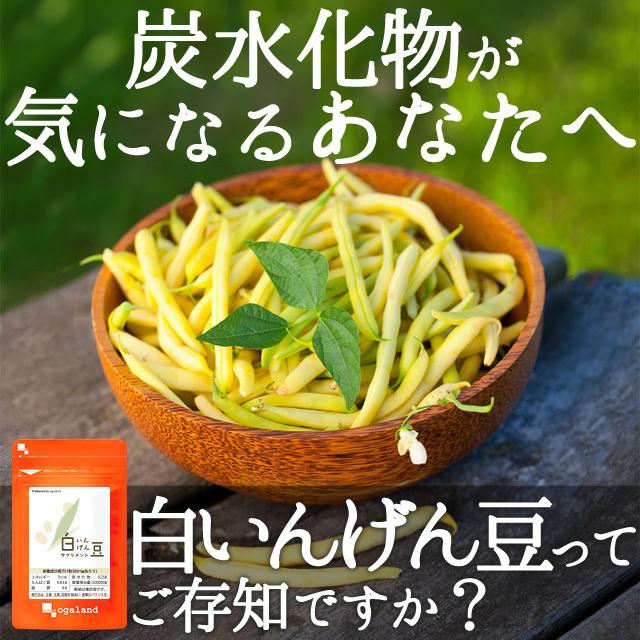 白いんげん サプリ 白インゲン豆 ファビノール ダイエット 送料無料 ポイント消化 支払いpaypay サプリメント 粒 約1ヶ月分 オーガランド Paypayモール店 通販 Paypayモール
