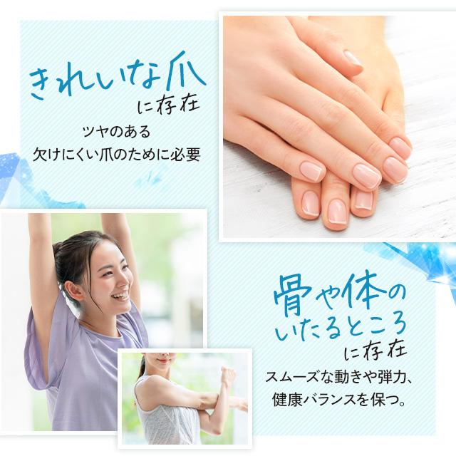 ogaland シリカサプリ （約1ヶ月分） ミネラル コラーゲン
