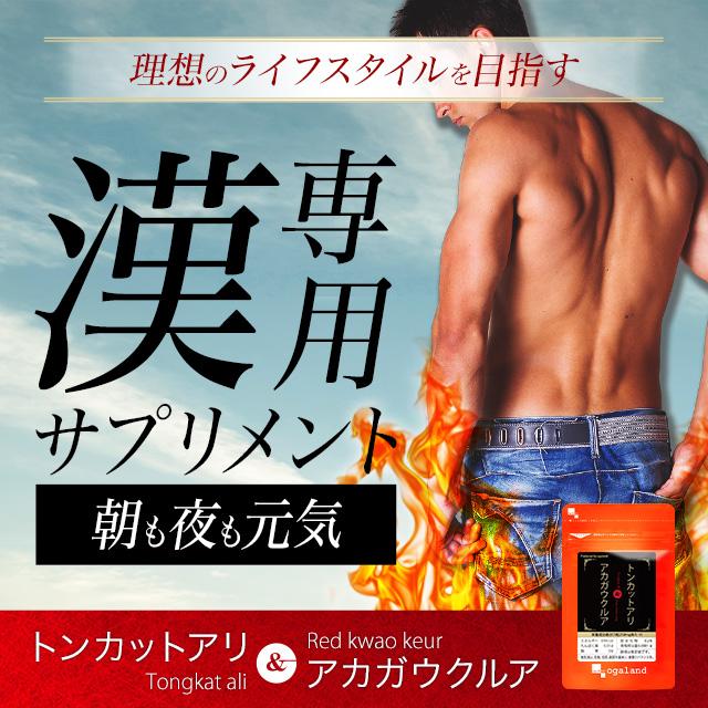 オードリー春日が宣伝している細マッチョ用サプリメント オードリー春日さんの体づくり秘宝を大公開！男女兼用のダイエット