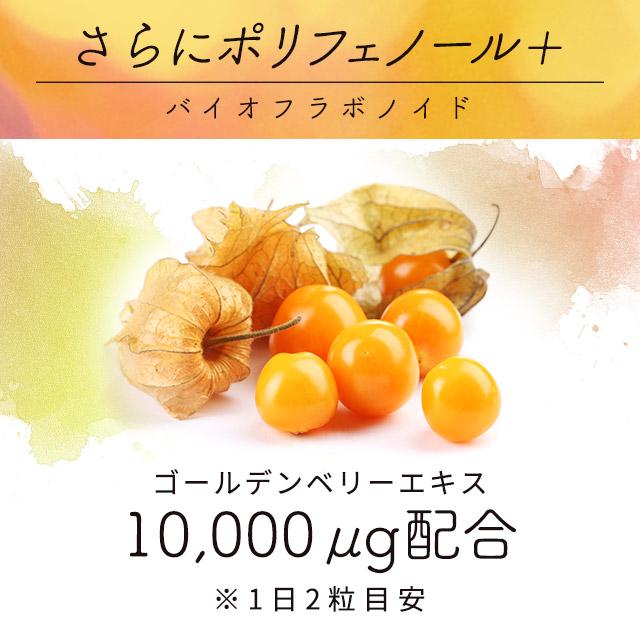 ogaland（オーガランド） 太陽のぶどう （約1ヶ月分） サプリ