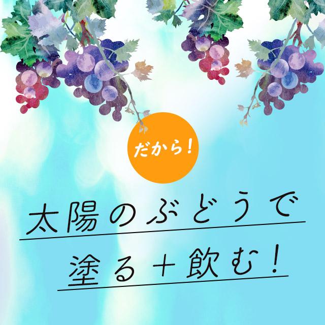 ogaland（オーガランド） 太陽のぶどう （約1ヶ月分） サプリ