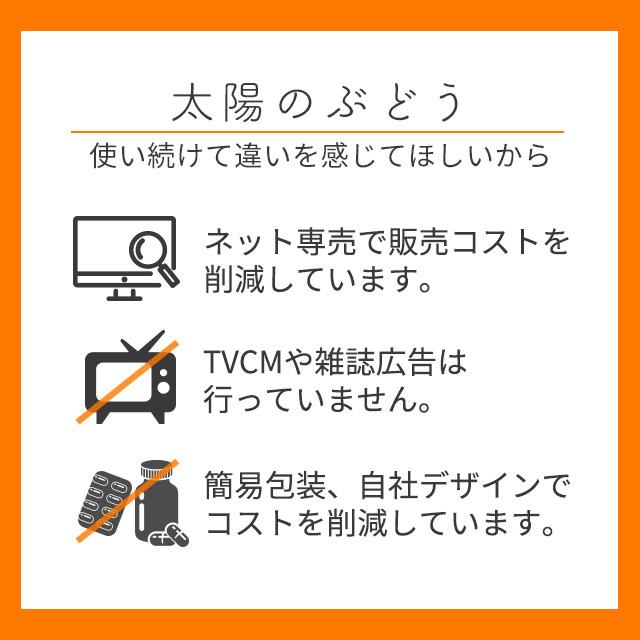 太陽のぶどう （約3ヶ月分） サプリメント サプリ ゴールデンベリー エイジングケア ポリフェノール 外出 アウトドア スポーツ｜oga｜19