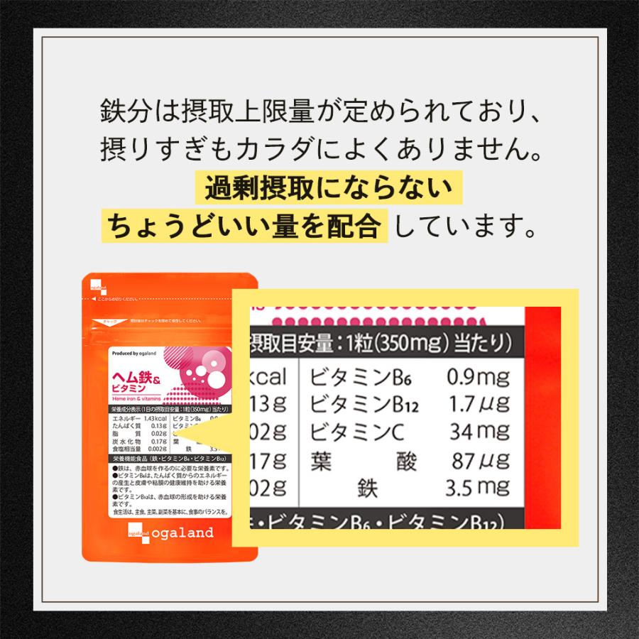 ヘム鉄&ビタミン  オーガランド 約15ヶ月分(約３ヶ月分×5袋) ogaland（オーガランド） ヘム鉄＆ビタミン（約3ヶ月分）鉄分 サプリ