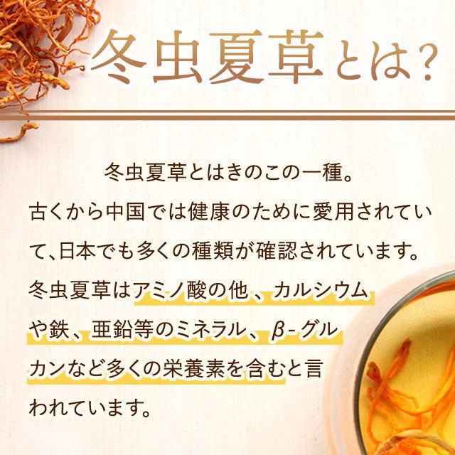 冬虫夏草 (約3ヶ月分) エイジングケア 健康 サプリメント サプリ ビタミン ミネラル アミノ酸 ダイエット 生活習慣 美容 健康食品 両親 プレゼント 送料無料 :b-to3:オーガランド Yahoo!店 - 通販 - Yahoo!ショッピング 冬虫夏草 (約3ヶ月分) エイジングケア 健康 サプリメント サプリ ビタミン ミネラル アミノ酸 ダイエット 生活習慣 美容 健康食品 両親 プレゼント 送料無料 :b-to3:オーガランド Yahoo!店 - 通販 - Yahoo!ショッピング