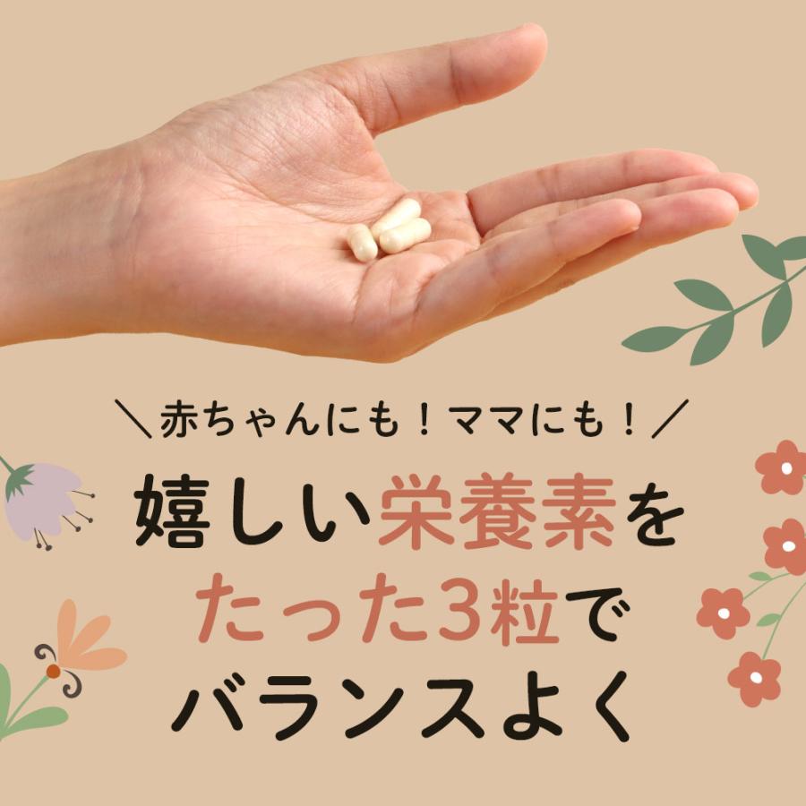 葉酸サプリ 鉄分 momの葉酸 約3ヶ月分 妊婦カルシウム 亜鉛 葉酸 サプリ 管理栄養士推奨 サプリメント ポイント利用 | ogaland | 13