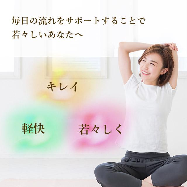 ビタミンE サプリ 約3ヶ月分 サプリメント ビタミンeの効果 90日分 生活習慣 ビタミン 大豆 トコフェロール ポイント利用 | ogaland | 06