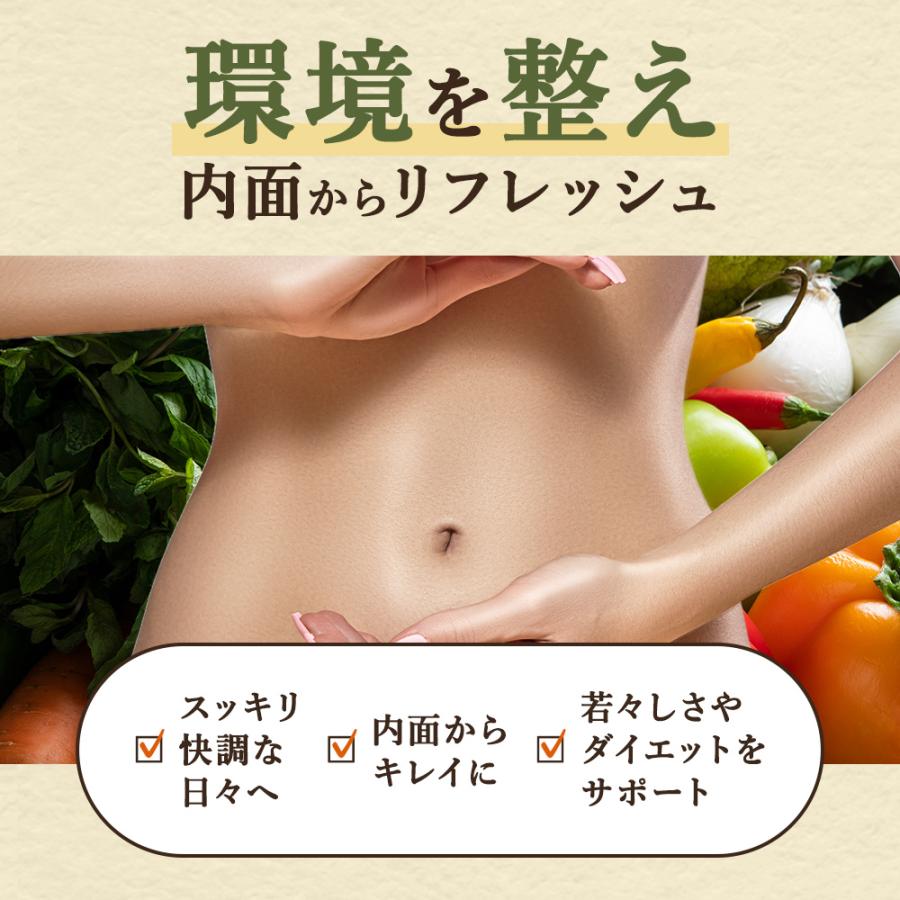 やさい酵素（約3ヶ月分）野菜不足 ダイエット ビタミン サプリメント 難消化性デキストリン サプリ 消化酵素 酵素 熟成 酵母 難消化性デキストリン ポイント利用 | ogaland | 12