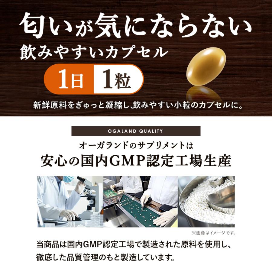 やさい酵素（約3ヶ月分）野菜不足 ダイエット ビタミン サプリメント 難消化性デキストリン サプリ 消化酵素 酵素 熟成 酵母 難消化性デキストリン ポイント利用 | ogaland | 16