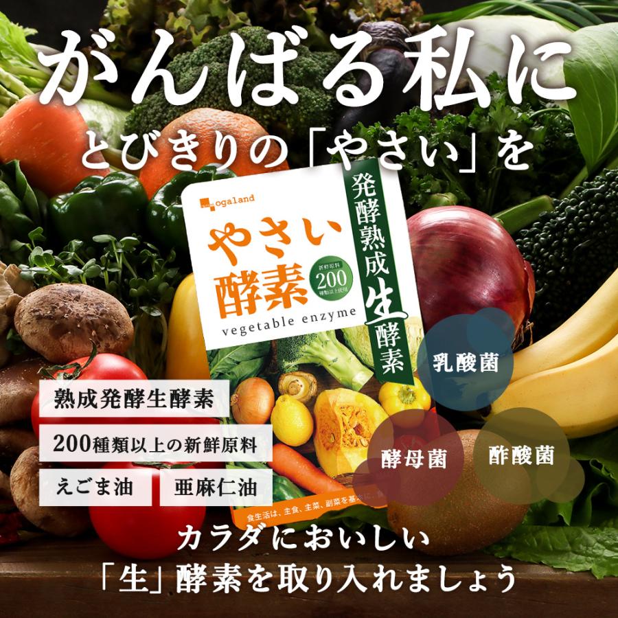 ogaland やさい酵素 (約3ヶ月分) 野菜 不足 ダイエット ogaland やさい酵素 (約3ヶ月分) 野菜 不足 ダイエット