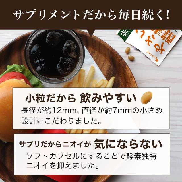 即納送料無料 酵素 やさい酵素 サプリメント ダイエット サプリ 野菜 不足 生酵素 約3ヶ月分 野草 熟成 オーガランド 送料無料 人気の定番