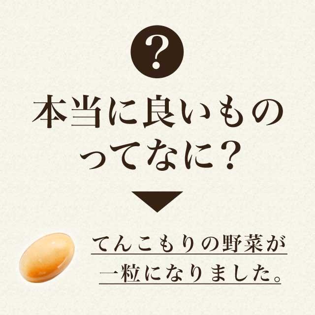 酵素 やさい酵素 サプリメント ダイエット サプリ 生酵素 約3ヶ月分 野菜 野草 こうそ 熟成 オーガランド 送料無料 オーガランド Paypayモール店 通販 Paypayモール