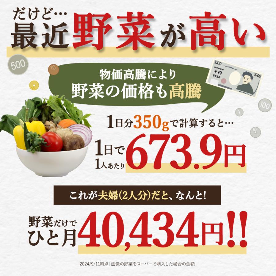 ogaland（オーガランド） やさい酵素（約3ヶ月分）野菜不足 ダイエット