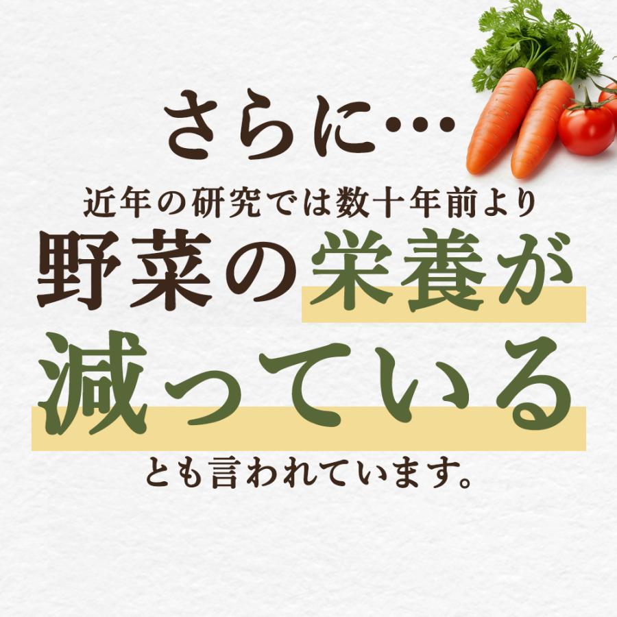 ogaland（オーガランド） やさい酵素（約3ヶ月分）野菜不足 ダイエット