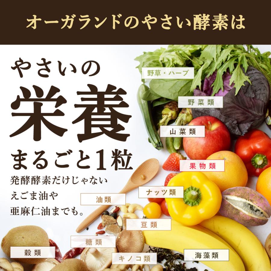 【凛とつやめく 生酵素バランス❤️】OMX5年発酵❤️100粒 凛とつやめく 生酵素バランス❤️】OMX5年発酵❤️100粒
