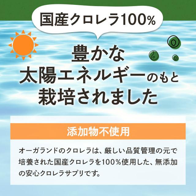 凝縮クロレラ粒100％ （約3ヶ月分） クロレラ サプリ 国産 高純度 100％ サプリメント ビタミン 無添加 食物繊維 野菜 不足 無着色 ナイアシン カルシウム 鉄｜oga｜05