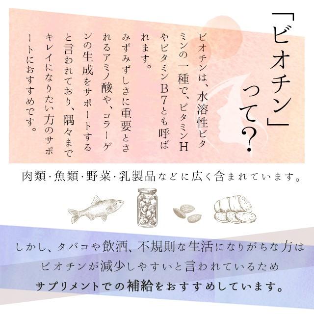 ビオチン サプリ 約3ヶ月分 亜鉛 サプリメント 効果 L-シスチン 美容 ナイアシン  ポイント利用 | ogaland | 07
