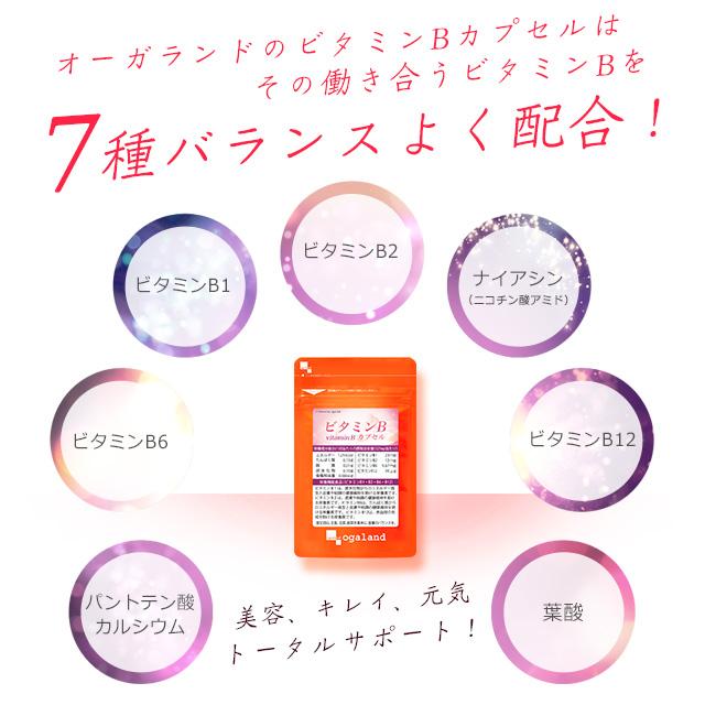 ビタミンBカプセル （約1ヶ月分） ビタミンb12 b1 b2  b6 葉酸 美容 サプリ 栄養機能食品 ビタミン ナイアシン サプリメント 炭水化物 ポイント利用 | ogaland | 10