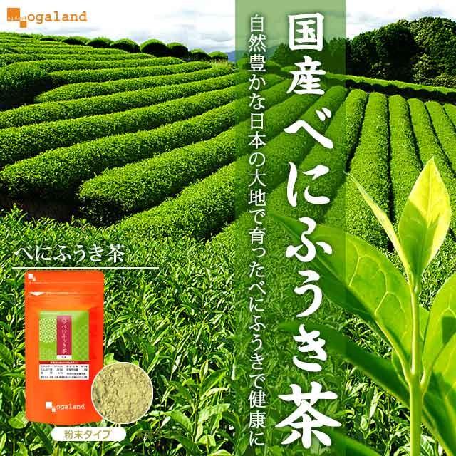 べにふうき茶 粉末タイプ （40g） メチル化 カテキン 国産 パウダー ベニフウキ ダージリン 季節の変わり目に｜oga｜04