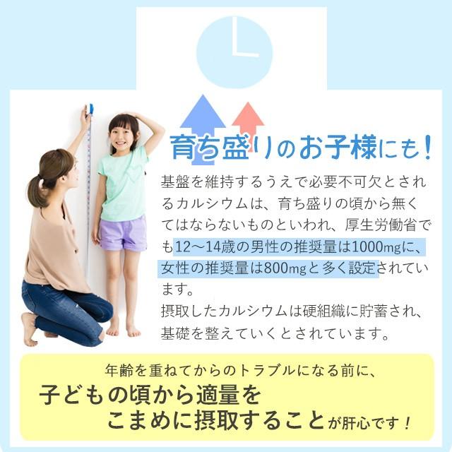 カルシウム サプリ 約3ヶ月分 ビタミンD ナトリウム カリウム マグネシウム 鉄 亜鉛 サプリメント 健康 カルシウムの多い食品 ポイント利用 | ogaland | 11
