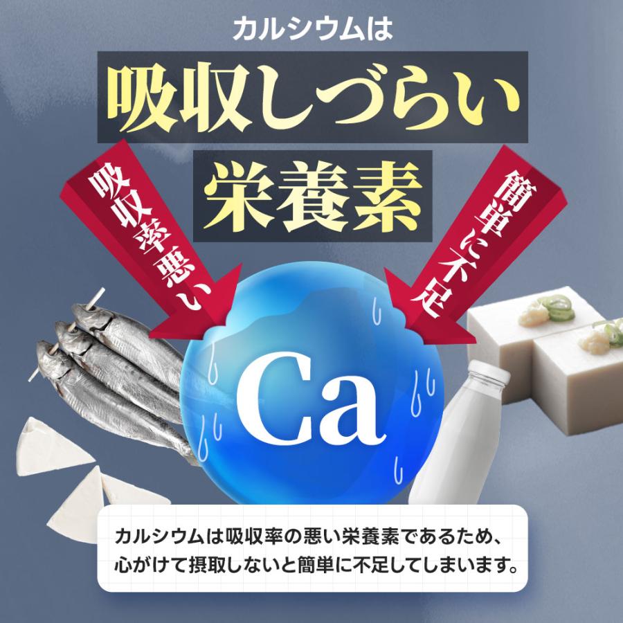 カルシウム サプリ 約3ヶ月分 ビタミンD ナトリウム カリウム マグネシウム 鉄 亜鉛 サプリメント 健康 カルシウムの多い食品 ポイント利用 | ogaland | 10