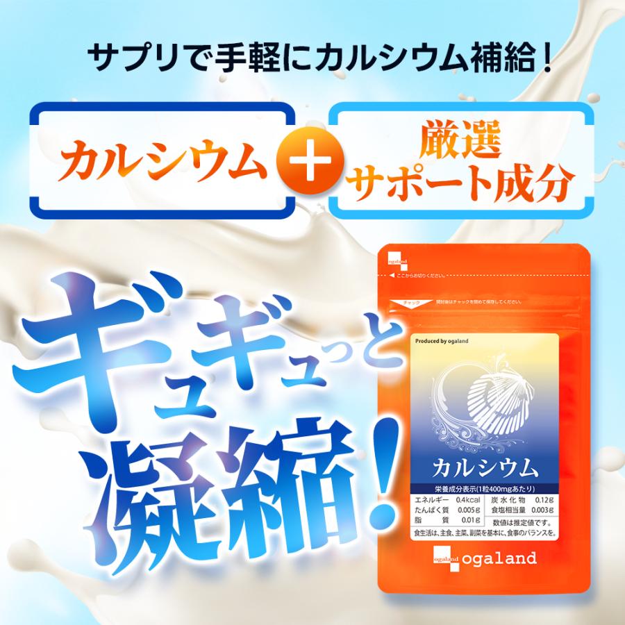 カルシウム サプリ 約3ヶ月分 ビタミンD ナトリウム カリウム マグネシウム 鉄 亜鉛 サプリメント 健康 カルシウムの多い食品 ポイント利用 | ogaland | 13