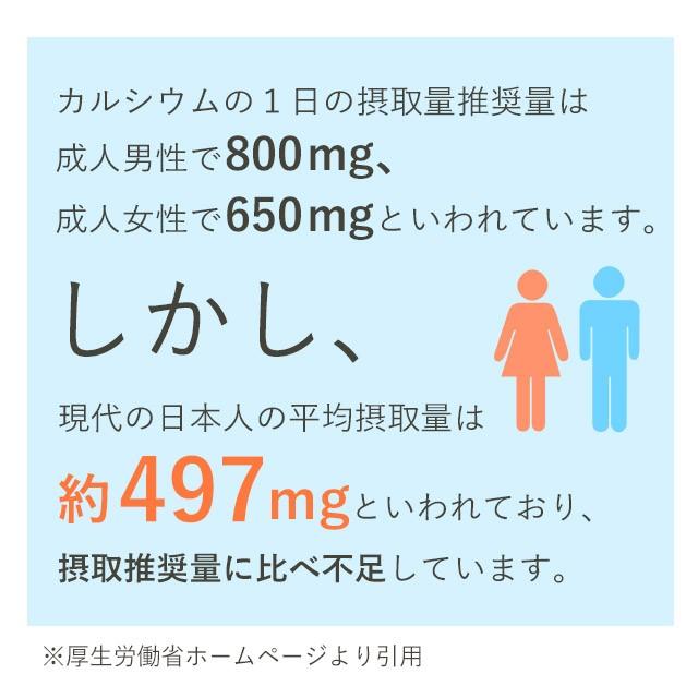 カルシウム サプリ 約3ヶ月分 ビタミンD ナトリウム カリウム マグネシウム 鉄 亜鉛 サプリメント 健康 カルシウムの多い食品 ポイント利用 | ogaland | 05