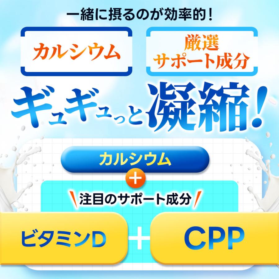 カルシウム サプリ 約3ヶ月分 ビタミンD ナトリウム カリウム マグネシウム 鉄 亜鉛 サプリメント 健康 カルシウムの多い食品 ポイント利用 | ogaland | 05